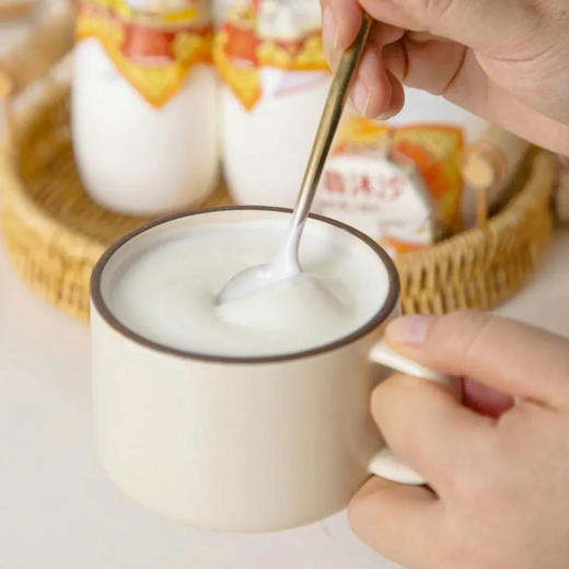布鲁沐沙·新疆土酸奶 | 稠得像豆腐脑，入口酸酸甜甜，一口浓郁奶香味 商品图9