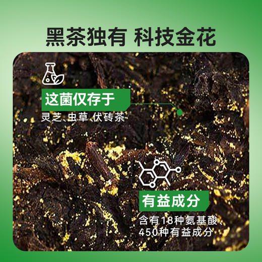 【一杯茶384万刮油菌！一路“肠”通】成分实验室 纤露茶栀子味 刮油茶 原料甄选 清爽解腻 1.2g/条 商品图14