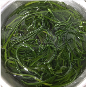 【QT】新鲜海带丝