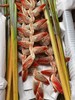 厄瓜多尔进口小众毛绒吊鸟永生花1支 商品缩略图10