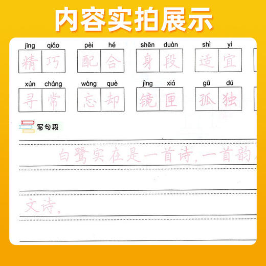 2026秋壹字匠心规范字同步书写能手荆霄鹏书小学生字帖一年级二三四五六七八年级上册正楷人教版教材同步字帖 商品图3
