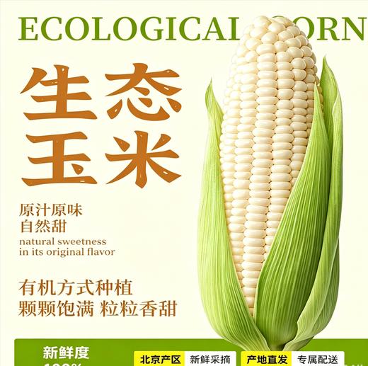 生态甜糯玉米 颗粒饱满 甜糯清香|生产者 快乐斑马 商品图0
