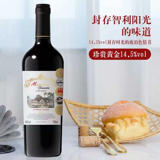 富蒂古堡干红葡萄酒 | 智利中央山谷进口，14.5度，喝起来有劲但不冲。五种葡萄混酿的，品一口，这个层次感绝了！！ 商品图0
