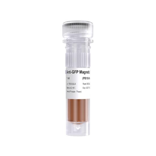Anti-GFP Magnetic Beads 商品图0