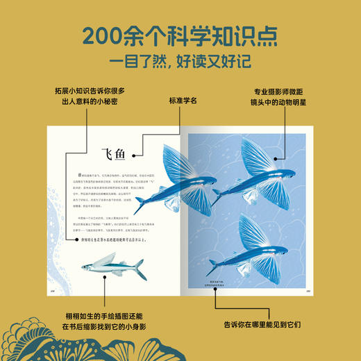 #小彼恩点读童书可可  3-12岁中文 DK奇妙动物大百科 商品图2