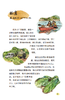 【官方预售】逛雨林 商品缩略图3