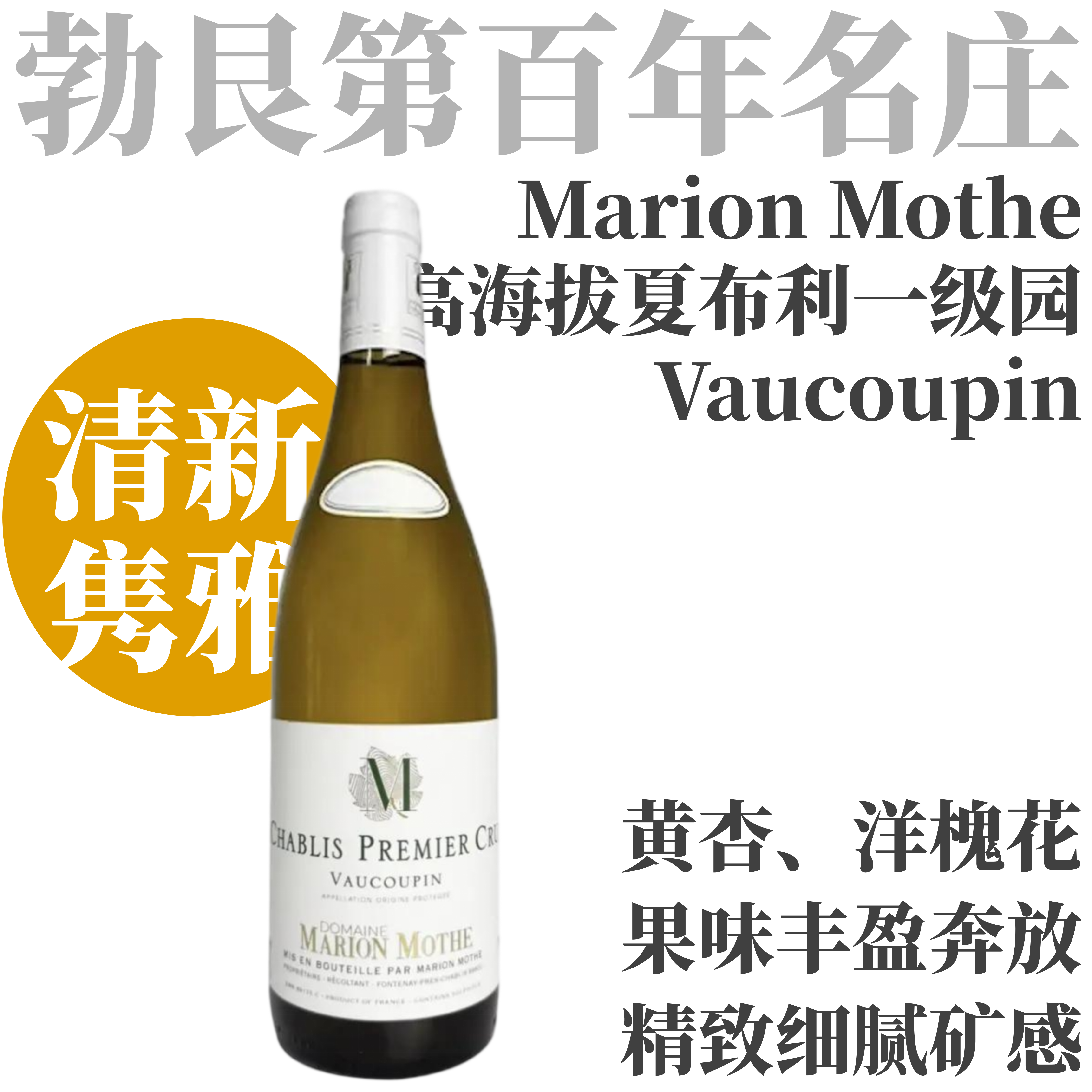 【清丽优雅·高海拔陡坡夏布利一级园“沃谷畔”】  2023 玛丽永莫特酒庄夏布利一级园沃谷畔干白  Marion Mothe Chablis 1er Cru Vaucoupin