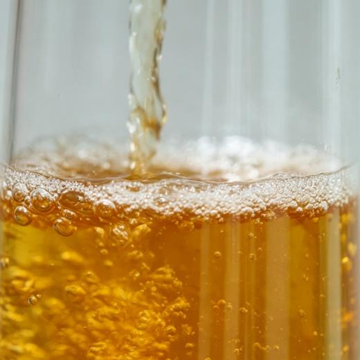 陈皮梅子酒 小口慢啜 舌底生津 酸后回甘  糯米、青梅和陈皮直接发酵的原浆梅酒 熟透的梅子酸香和五年新会双水陈皮的润感 商品图1
