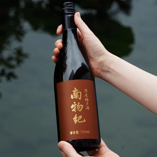 陈皮梅子酒 小口慢啜 舌底生津 酸后回甘  糯米、青梅和陈皮直接发酵的原浆梅酒 熟透的梅子酸香和五年新会双水陈皮的润感 商品图6