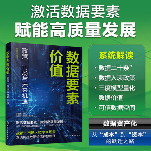 数据要素价值：政策、市场与未来机遇 商品图0