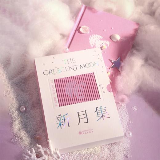 诺贝尔文学奖传世经典《飞鸟集》x《新月集》 商品图7
