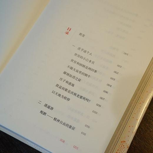 至人庄子周国平的庄子课周国平著诸子百家先秦哲学人民文学出版社 商品图2
