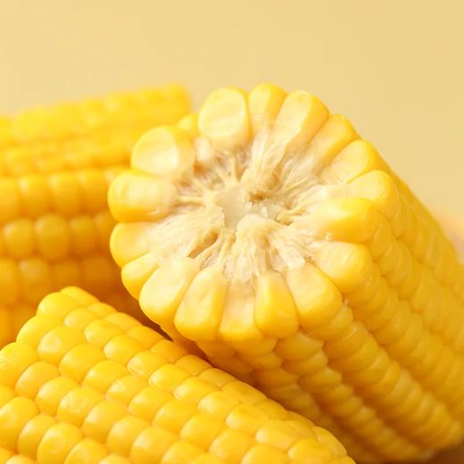 麦德龙 麦臻选 水果甜脆玉米2.2kg（220g*10） 商品图2