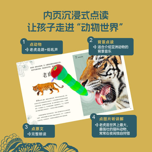 #小彼恩点读童书可可  3-12岁中文 DK奇妙动物大百科 商品图4