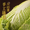 MM 山姆 湾仔码头 黑猪肉大白菜水饺 1.62kg（81只） 商品缩略图3