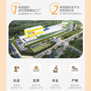 【韩国钟根堂&丹麦科汉森联合研发】乐多飞益生菌 全家共享版 50条/罐 丹麦科汉森研发菌种 每条20亿CFU活菌 额外添加后生元+锌配方 商品缩略图3