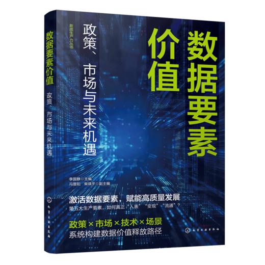 数据要素价值：政策、市场与未来机遇 商品图1