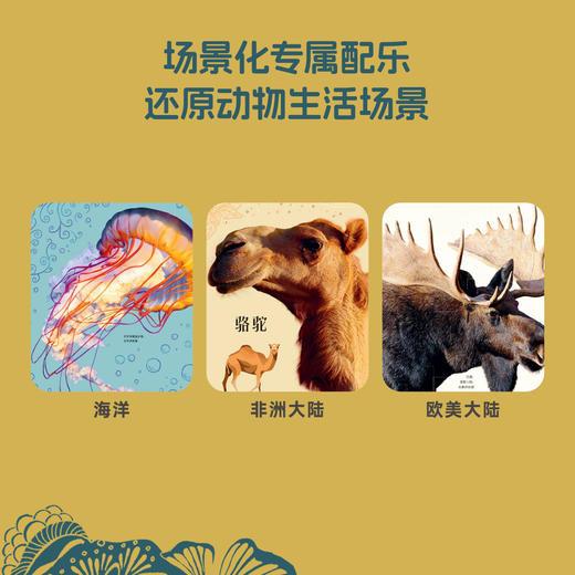 #小彼恩点读童书可可  3-12岁中文 DK奇妙动物大百科 商品图3