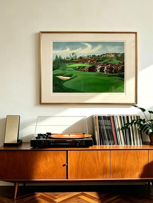 伽罗 JALO 中古画合集(拍下后5个工作日内发货) 商品图9