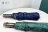 武大珞珈自动雨伞 商品缩略图1