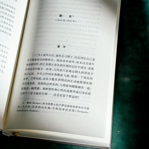 尼采年谱 自述、书信及他人记叙 尼采全集·注疏版 商品图7
