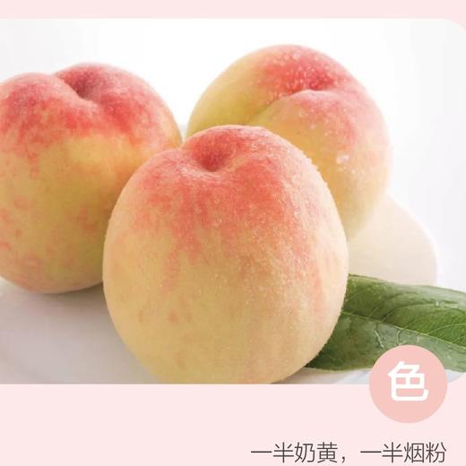 【8分熟鲜果，下单后次日采摘发货】2026正宗无锡阳山水蜜桃，会喷汁的水蜜桃，果大、汁多、新鲜、香甜，多规格可选，自己尝鲜，赠人好礼 ！（晚湖景品种） 商品图9