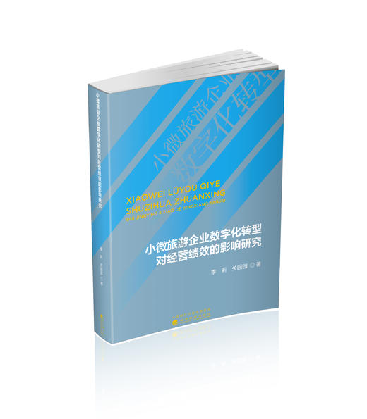 小微旅游企业数字化转型对经营绩效的影响研究 商品图0