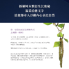 树之爱：植物如何在静止中繁衍  弗雷德里克·安杜 著 三联书店 商品缩略图2