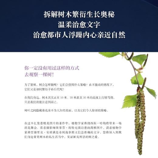 树之爱：植物如何在静止中繁衍  弗雷德里克·安杜 著 三联书店 商品图2