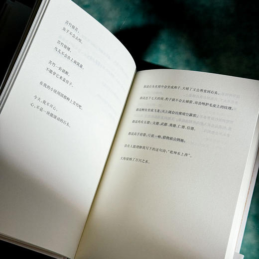 杜甫一生 艾略特·温伯格诗集 中英双语 杜甫一生的虚构自传 商品图7