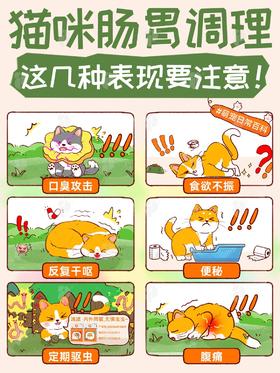 【普安特课堂】[猫咪肠胃调理⚠️如果有这几种情况就要注意