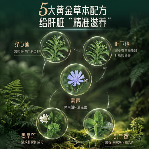 Himalaya喜马拉雅GNX护肝片 60片/瓶 商品图2