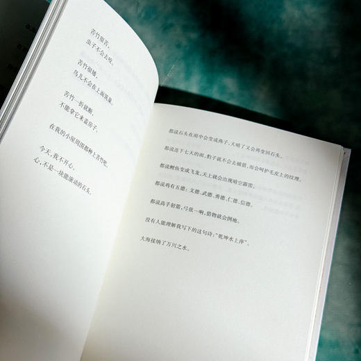 杜甫一生 艾略特·温伯格诗集 中英双语 杜甫一生的虚构自传 商品图8
