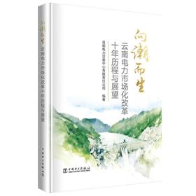 向潮而生 云南电力市场化改革十年历程与展望