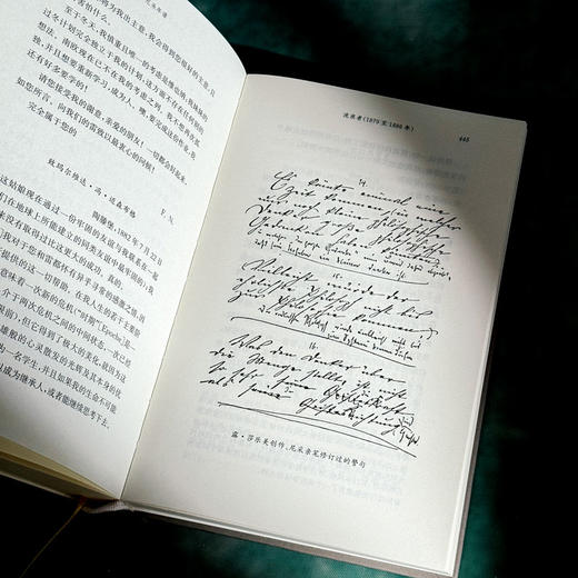 尼采年谱 自述、书信及他人记叙 尼采全集·注疏版 商品图11