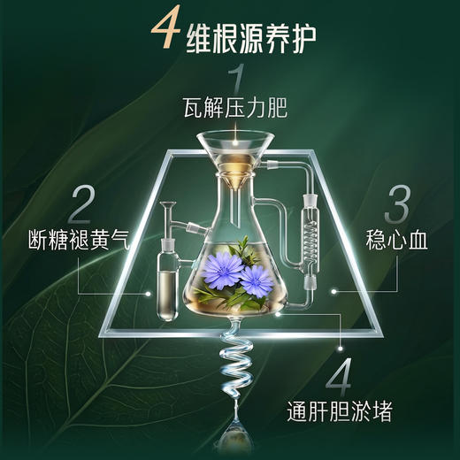 Himalaya喜马拉雅GNX护肝片 60片/瓶 商品图5