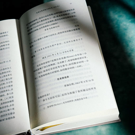 尼采年谱 自述、书信及他人记叙 尼采全集·注疏版 商品图9