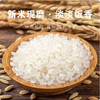 【YMHR】泽恩大米25kg 商品缩略图2