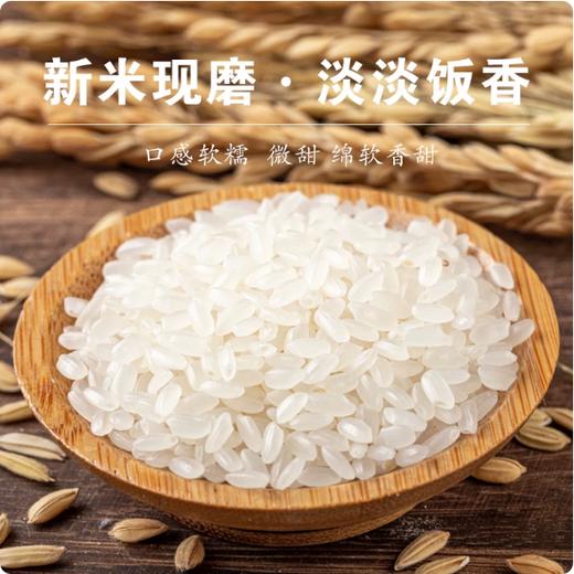 【YMHR】泽恩大米25kg 商品图2