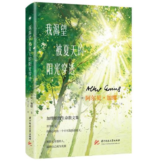 我渴望被夏天的阳光穿透  9787577228679  华中科技出版社 商品图2