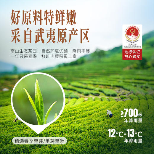 华祥苑-100g星时光颂茗金骏眉红茶 2盒 商品图4