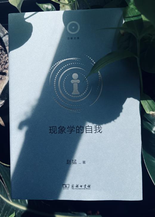 现象学的自我(日新文库) 商品图2