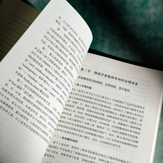 学前教师培训 15个国家的比较研究 大夏书系 幼儿教育 商品图10