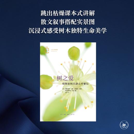 树之爱：植物如何在静止中繁衍  弗雷德里克·安杜 著 三联书店 商品图1