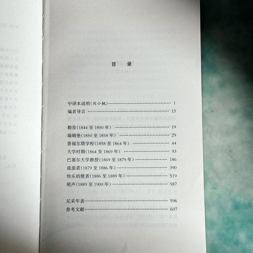 尼采年谱 自述、书信及他人记叙 尼采全集·注疏版 商品图6