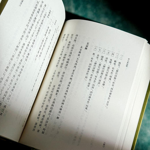 宋七家词选 精装 清人历代词选丛刊 商品图11