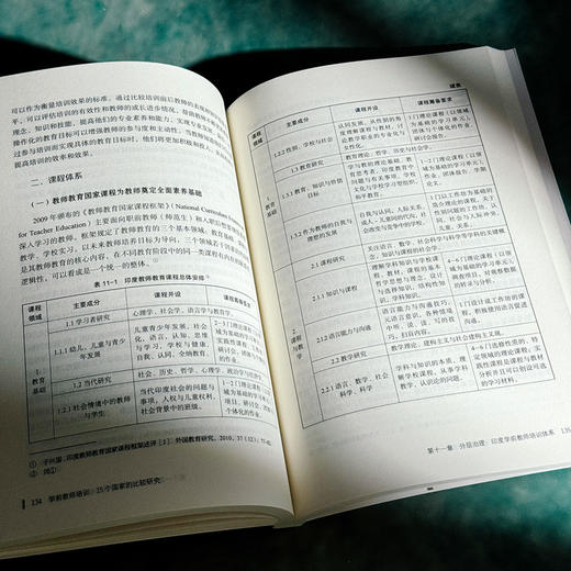 学前教师培训 15个国家的比较研究 大夏书系 幼儿教育 商品图11