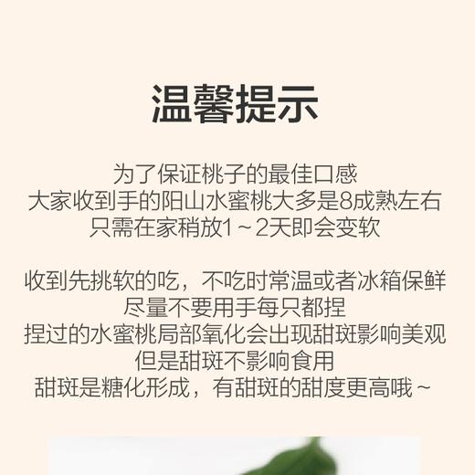 【8分熟鲜果，下单后次日采摘发货】2026正宗无锡阳山水蜜桃，会喷汁的水蜜桃，果大、汁多、新鲜、香甜，多规格可选，自己尝鲜，赠人好礼 ！（晚湖景品种） 商品图11