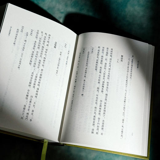 宋七家词选 精装 清人历代词选丛刊 商品图8