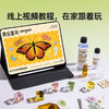 【走进自然 探索物理】美乐童年达尔文&达芬奇实验套装 相框/书签/挂件/琥珀diy玩具 投石机/桨轮船/物理科学实验科技小制作 商品缩略图3